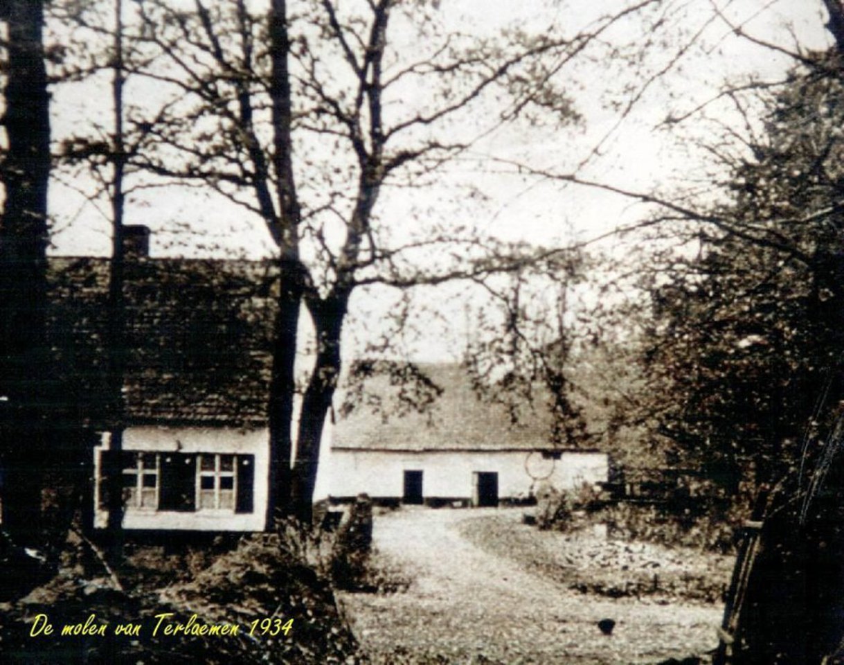 Bolderberg: de oude molen, nu paddock, van Terlaemen